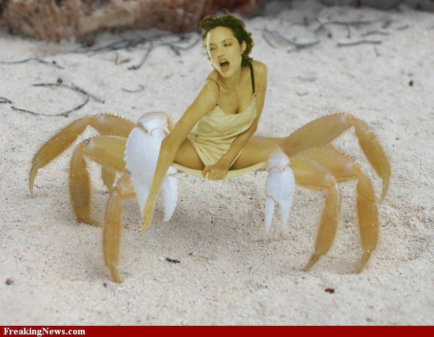 crabby_wife