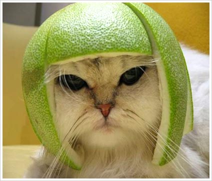 gagamel
