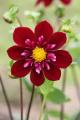 hervebonnefille69440