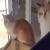 hopeful