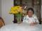 jansan