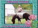 ladyasker30