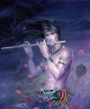 lythrum