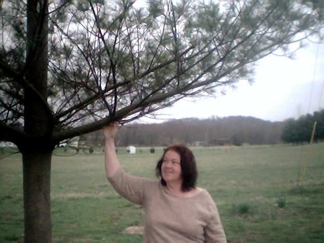 marlene_1952