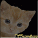 marybep