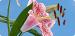 test5656
