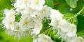 test888