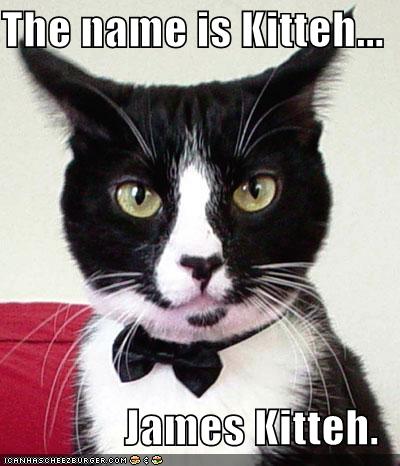 the_Cat_Man