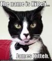 the_Cat_Man