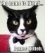 the_Cat_Man