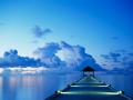 the_little_one4214