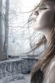 winterdream